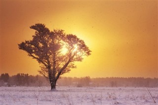 Estland vejrudsigt