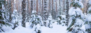 Estonia pronóstico del tiempo