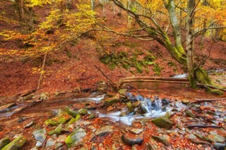 Estonya hava tahmini