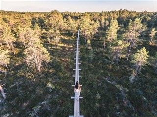 Estland vejrudsigt