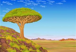 אֶתִיוֹפִּיָה תחזית מזג האוויר
