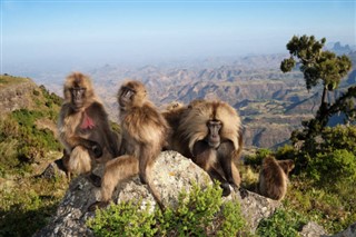 Ethiopie prévisions météorologiques