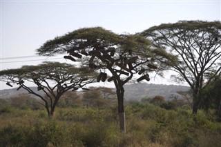 Ethiopia weather forecast