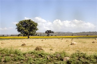 Etiyopya hava tahmini