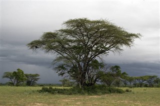 Ethiopia weather forecast