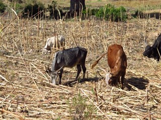 Ethiopië Weersverwachting