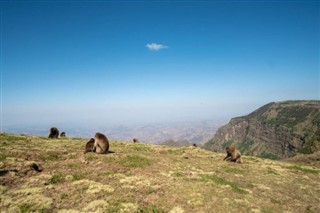 Ethiopie prévisions météorologiques