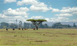 Etiopía pronóstico del tiempo