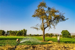 Etiyopya Hava tahmini