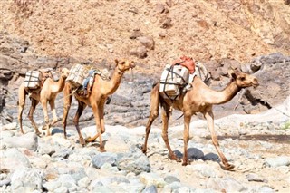 Ethiopie prévisions météorologiques