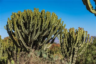 Ethiopia weather forecast