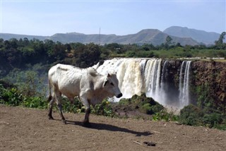 Ethiopië Weersverwachting