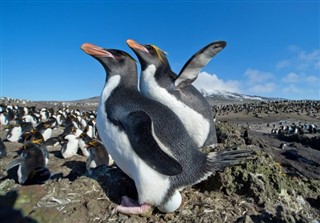 Falklandy předpověď počasí