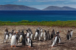 les îles Falkland prévisions météorologiques