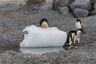 Islas Malvinas pronóstico del tiempo