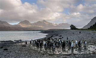 Falkland adaları hava tahmini