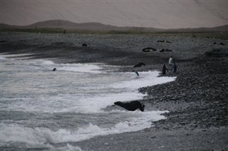 Falkland adaları hava tahmini
