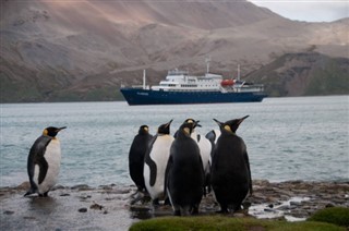 Falklandsøerne vejrudsigt