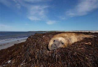les îles Falkland prévisions météorologiques