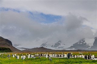 Falkland adaları hava tahmini