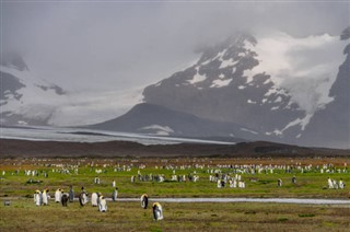 Falkland adaları hava tahmini