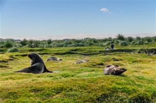 Falkland adaları hava tahmini