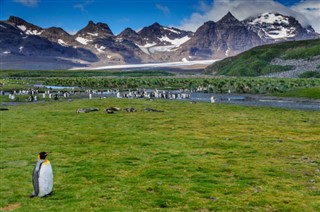 Falklandsøerne vejrudsigt