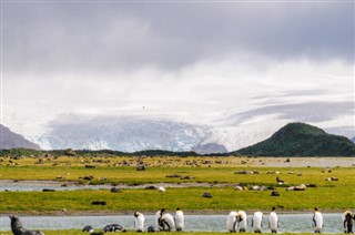 Falkland adaları hava tahmini