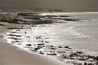 Falklandsøerne vejrudsigt