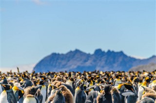 les îles Falkland prévisions météorologiques