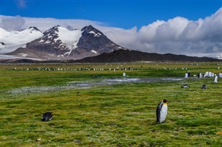 Falkland adaları hava tahmini