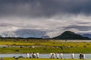 les îles Falkland prévisions météorologiques