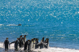 Falklandinsaaret sääennuste