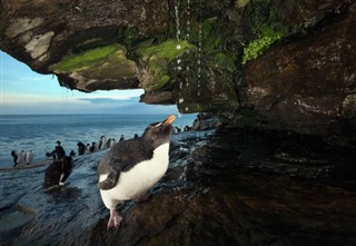 Falklandsøerne vejrudsigt