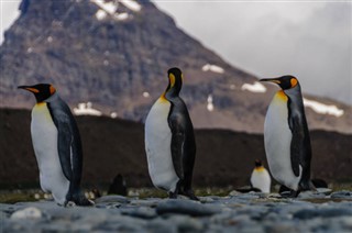 Falklandinsaaret sääennuste