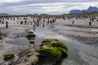 Falklandsøerne vejrudsigt