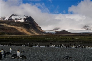 Falklandski otoci Vremenska prognoza