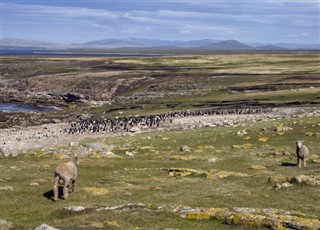 les îles Falkland prévisions météorologiques