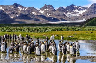 les îles Falkland prévisions météorologiques
