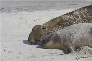 Islas Malvinas pronóstico del tiempo