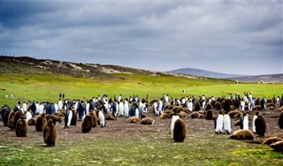 Falklandsøerne vejrudsigt