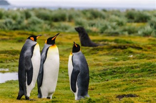 Islas Malvinas pronóstico del tiempo
