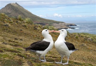 Falklandski otoci Vremenska prognoza