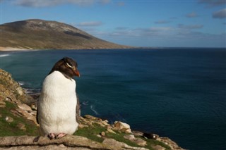 Falkland adaları Hava tahmini