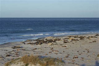 les îles Falkland prévisions météorologiques
