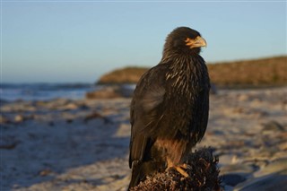 Islas Malvinas pronóstico del tiempo