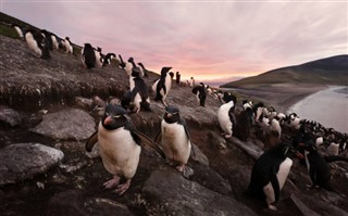 Falklandsøerne vejrudsigt