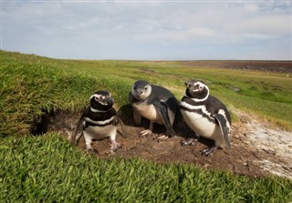 les îles Falkland prévisions météorologiques