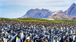 Falkland adaları hava tahmini
