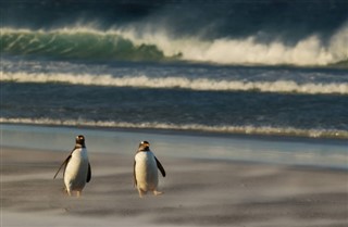 Islas Malvinas pronóstico del tiempo